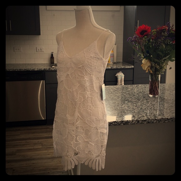 Express white Lace Trapeze Dress - Picture 5 of 7